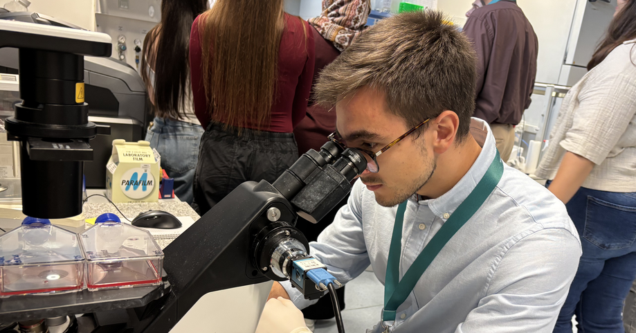 Thumb ticker lg img 3937  1 